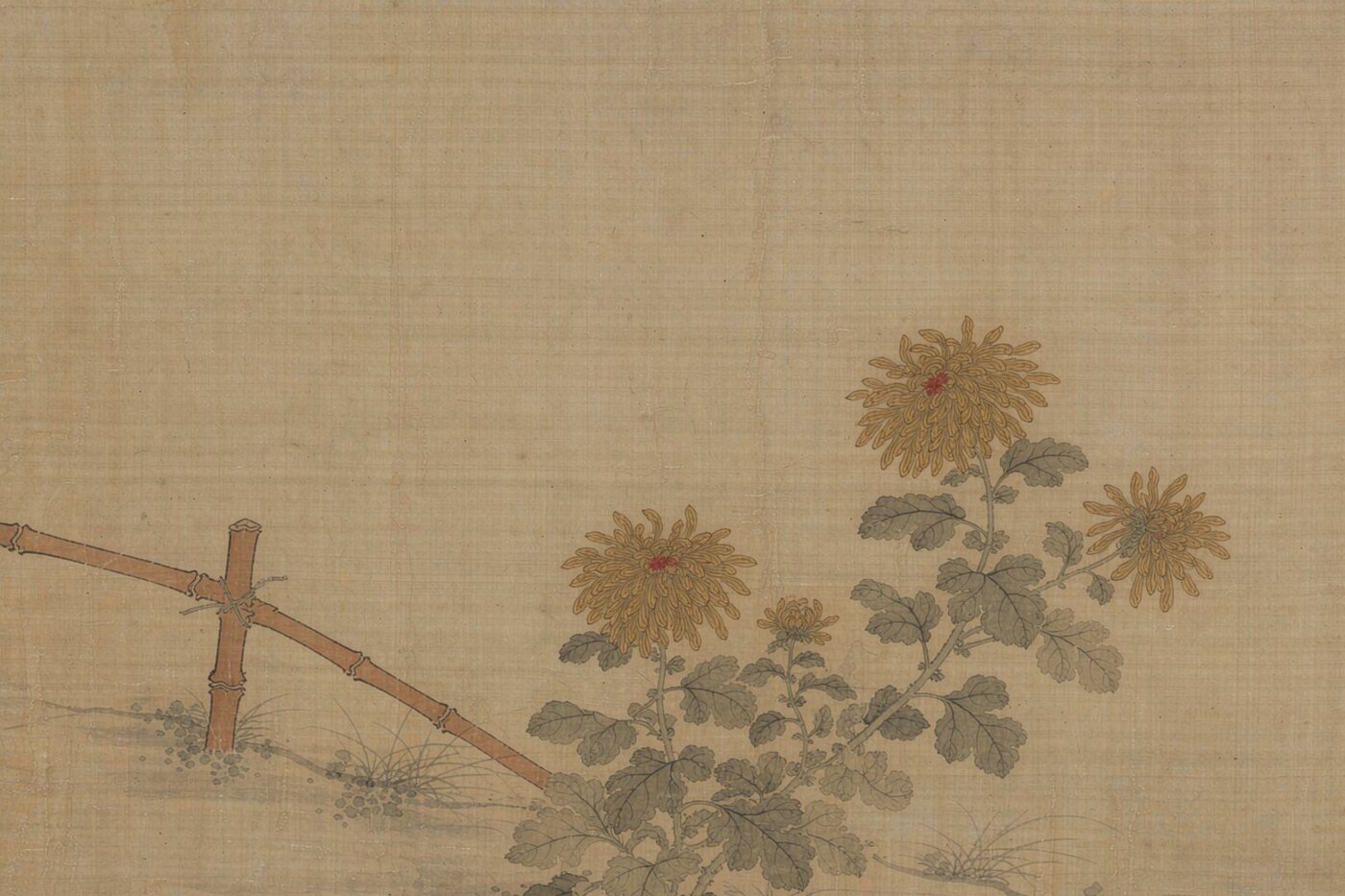 菊：霜天晚香里的东方晚节